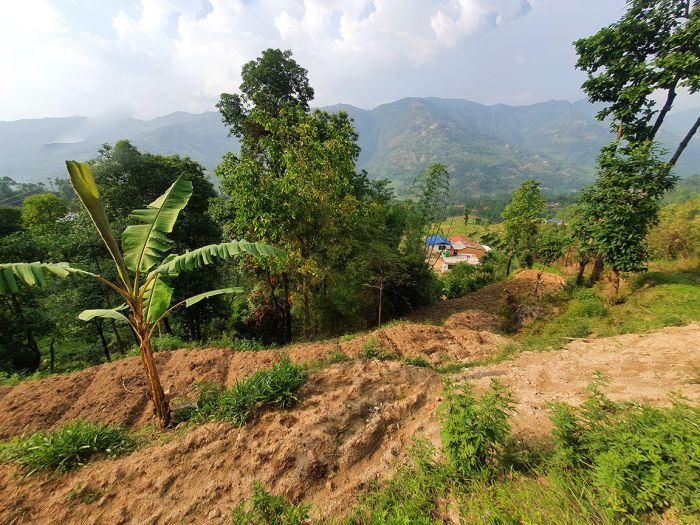 1 Ropani 10 Ana Land on Sale – Sunkhani, Nuwakot
