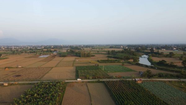 Commercial Land for Sale in Ratnanagar, Chitwan - Prime Investment Opportunity