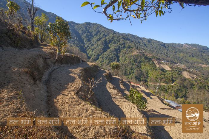4 Ropani Land On Sale at KhariBhanjyang , Nuwakot.