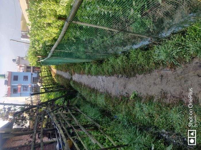 Land sale in Balambu Kathmandu