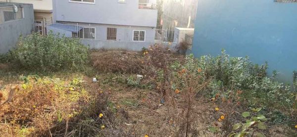 Land Sell at Tribhuban Park Thankot.