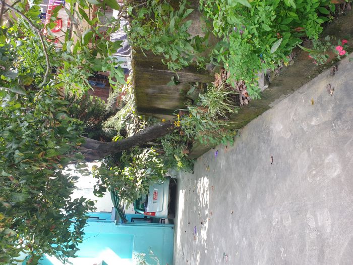 Main Area: Near Singhadurbar, Anamnagar House 11.5 Anna For Sale