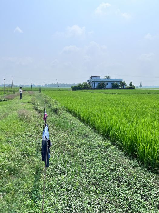 1/2 Kathha Land in Geta location for sale at 2000000