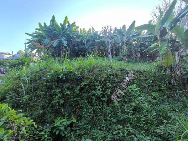  1 Kattha 5 Dhur Land for Sale — Just 20 Min from Hetauda City! 