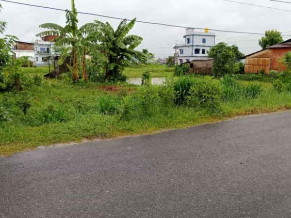 Land for Sale - Surunga, Jhapa; 1 Kattha @ 68.5 Lakh