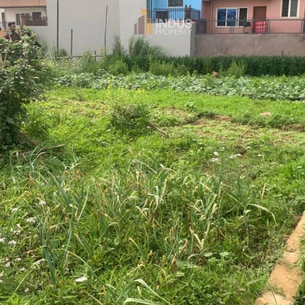 3 aana 1 paisa Land on sale at Tikathali, Imadol 13 ft road