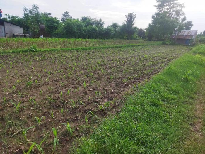 Land for sale in urgent in 37 lakh ma 40 45 lakh ko land