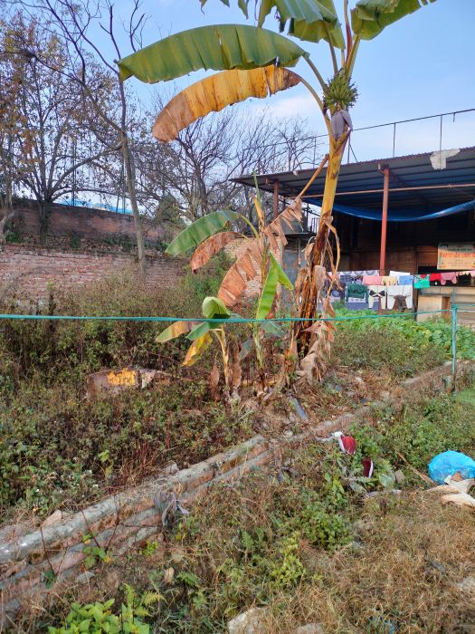 Land on Dhapakhel Main Road