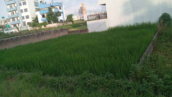Land on sale at Balkot, Bhaktapur Land on sale at Balkot, Bhaktapur