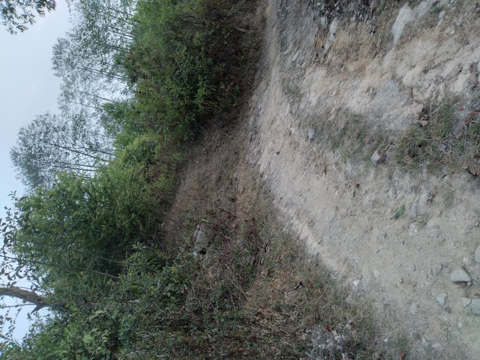 Land for sale in nuwakot