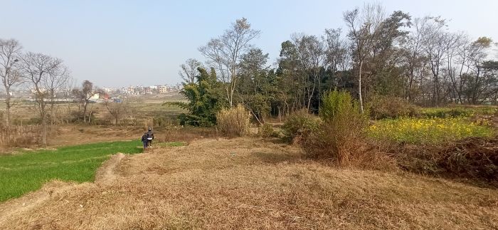 Land for sale in Sirutar