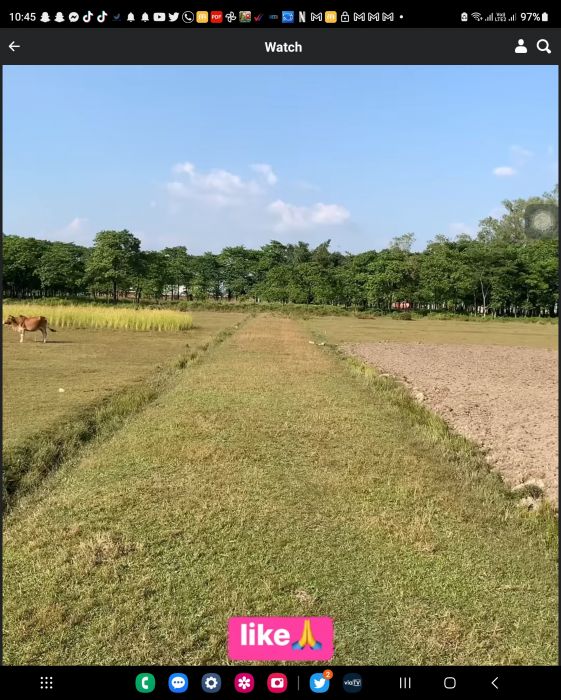 Jhapa jilla ko Bhadrapur ko Jhapa chok ko land sell