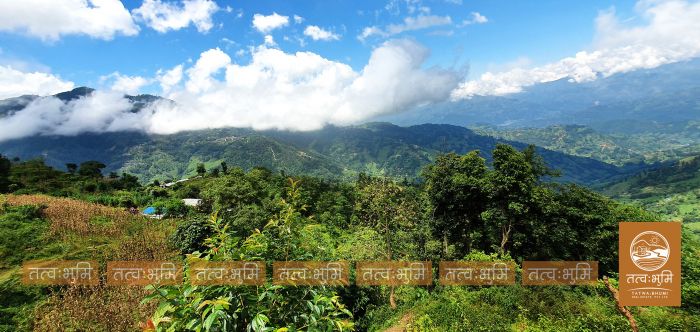 11 Ropani land on sale Ranipauwa, Kakani - Nuwakot