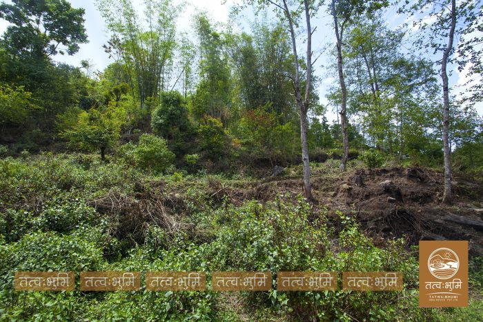 10 Ropani land on sale Ranipauwa, Kakani - Nuwakot