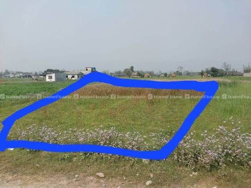 Ekdum sasto ma Mangalpur Chitwan ko jugga bikrima