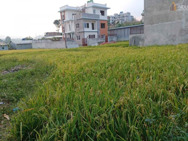 Land on Sale-Sanagau ,Lalitpur