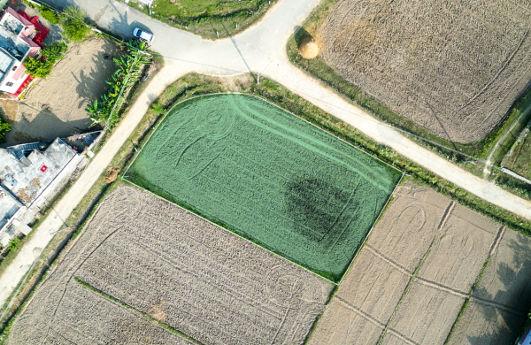 Residential Land for Sale – Rajpur Geta, Dhangadhi | Ideal for Your Dream Home!