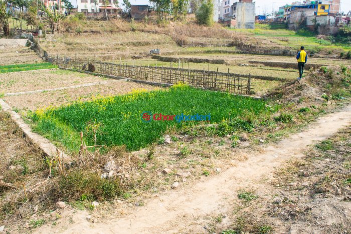 4 aana 2 daam land sale in Setipakha Imadol Lalitpur