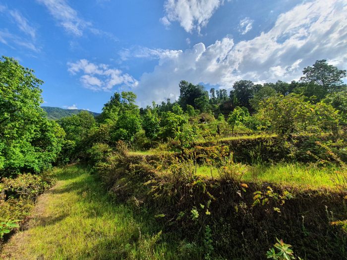 26 Ropani Land On Sale at Sunkhani, Nuwakot