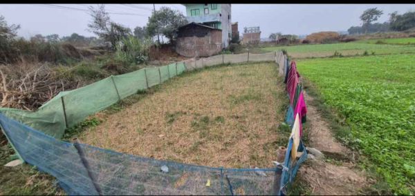 Lumbini parsa chowak haiway touching ghaderi bikrima 15 dhur urgent sell