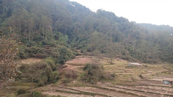 Land For Sale near Ashapuri Temple Suryabinayak