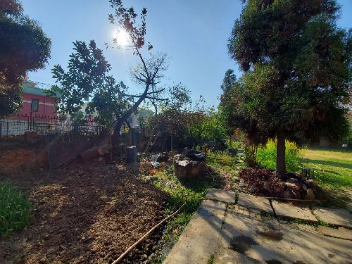 75 aana land for sale in Thaiba