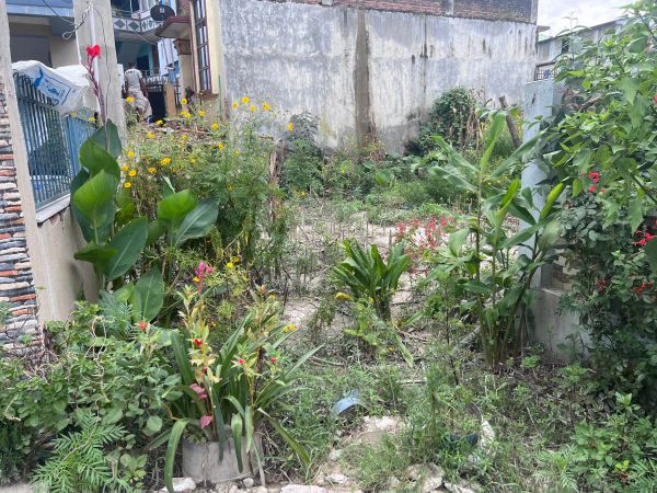Land for sale in Bista Gaun, Harhar Mahadev, Gothatar. 4 aana 2 dam