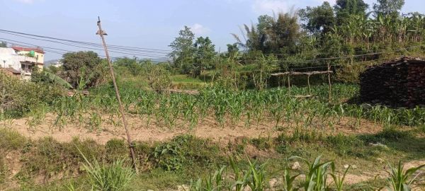 HOUSE FOR SALE IN JAMUNE, TANAHUN.