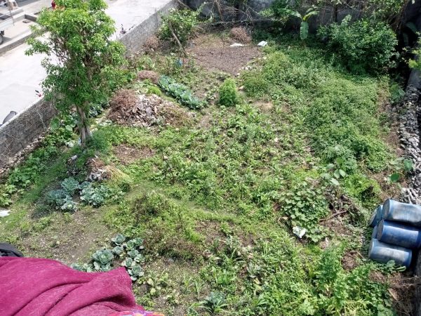 Pokhara special offer