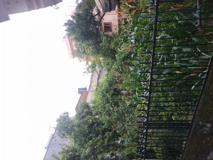 1 Ropani Residential Land For Sale At Kapan Milan Chowk