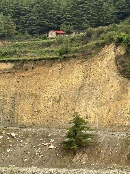 Farm house and farmland 