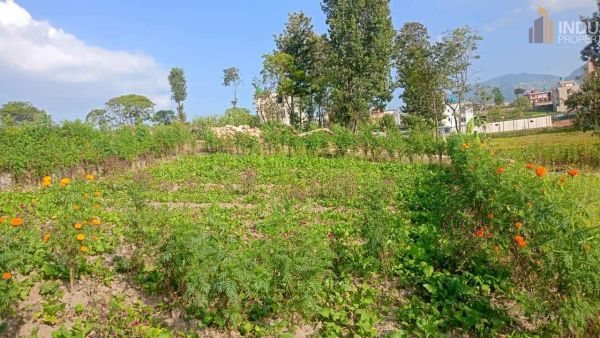 Land On Sale at Balkot, Bhaktapur