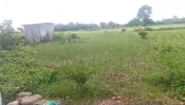 ? ????? ???????? — ??????, ??????, ????? ??