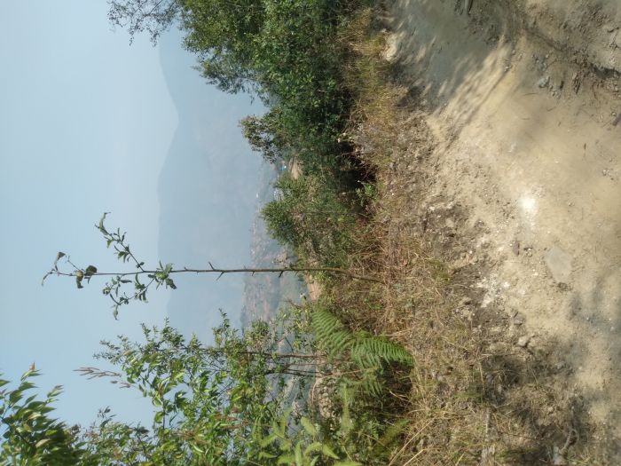Land for sale in nuwakot