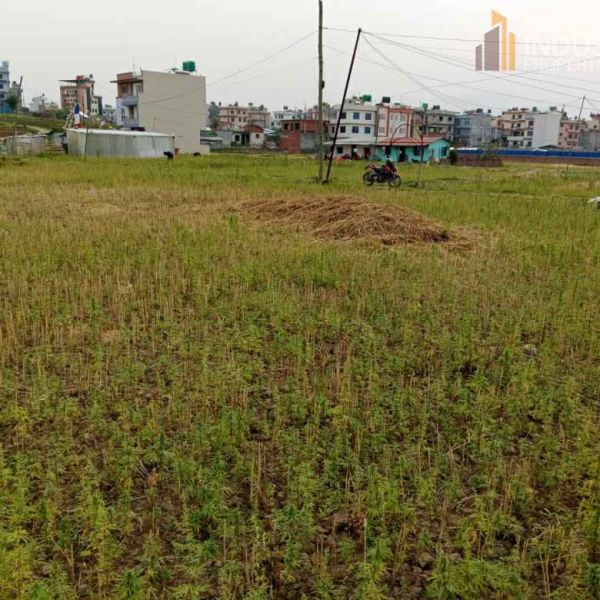 Land on sale-Lamatar, Lalitpur