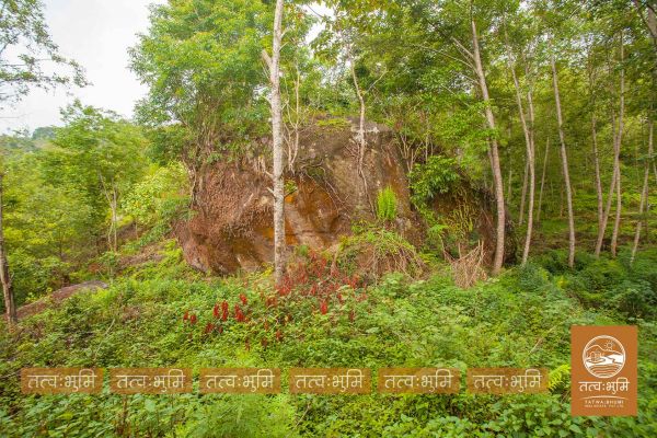 5 Ropani land for sale in Ranipauwa - Nuwakot