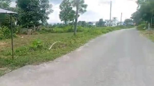 ? ????? ???????? — ??????, ??????, ????? ??