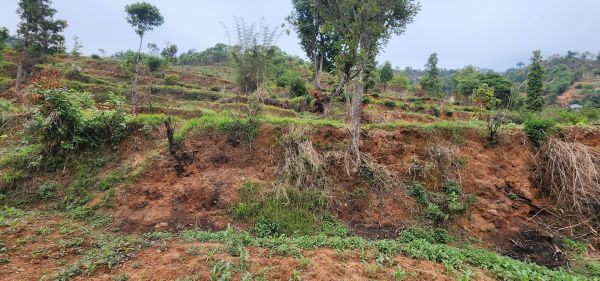 1 Ropani 4 Land Plots For Sale – Dhachowk, Thankot, Kathmandu