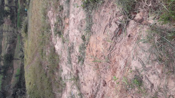 Land for sale at dhulikhel @ 6.5lakh per aana