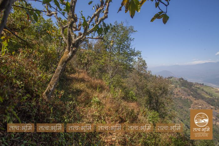 9 Ropani land in Naraynthan, Nuwakot on Sale.