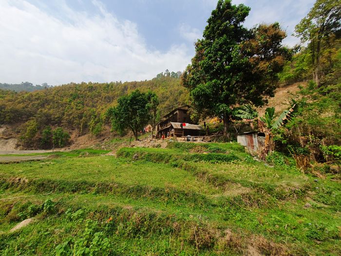 6 Ropani 8 Ana land on Sale at Sherabagar, Nuwakot
