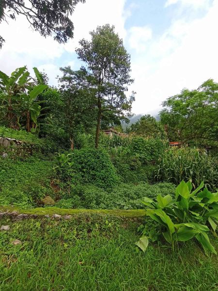 land on sale at budhanilkantha