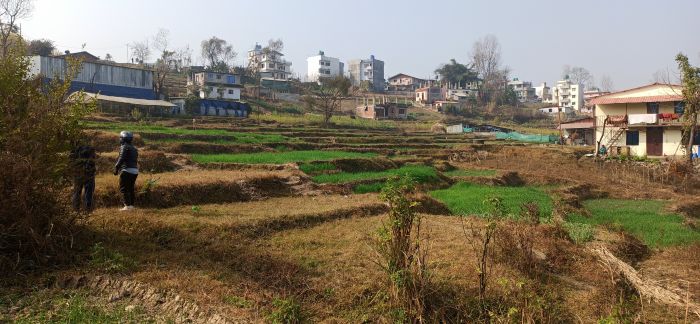 Land for sale in Sirutar