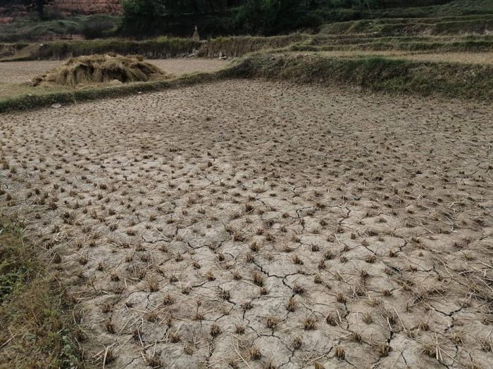 LAND ON SALE (NAMOBUDDHA MUNICIPALITY) Mathurapati