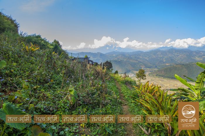 6 Ropani land for sale Dhikure, Nuwakot.