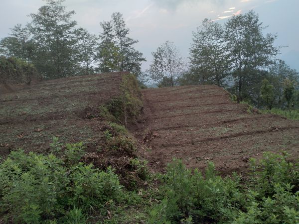 Beautiful land sale for Resort  in Nuwakot  view Gosaikunda Langtang himal