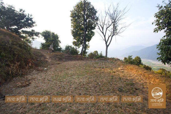 11 Ropani land near Chahare, Nuwakot on Sale.