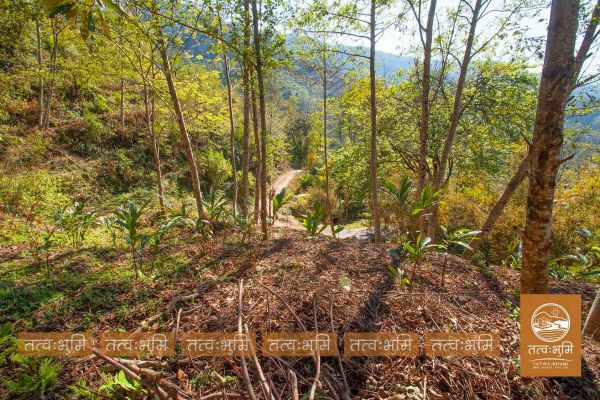 1 Ropani land for sale in KhariBhanjya - Nuwakot.