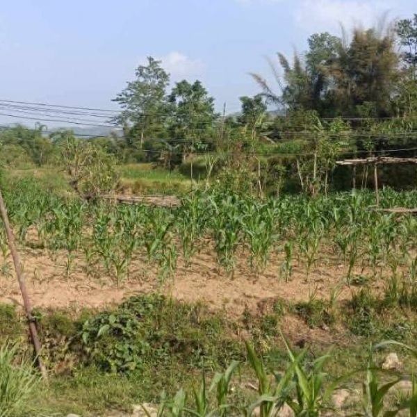 Prime Commercial Highway Front Land for Sale