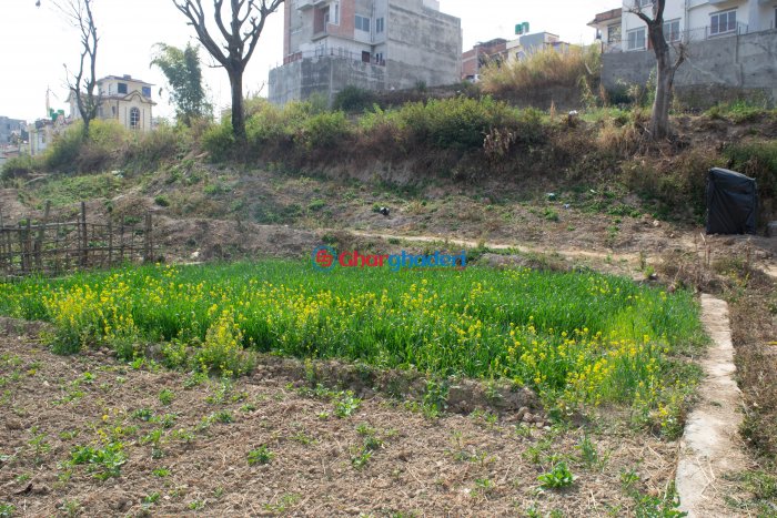4 aana 2 daam land sale in Setipakha Imadol Lalitpur